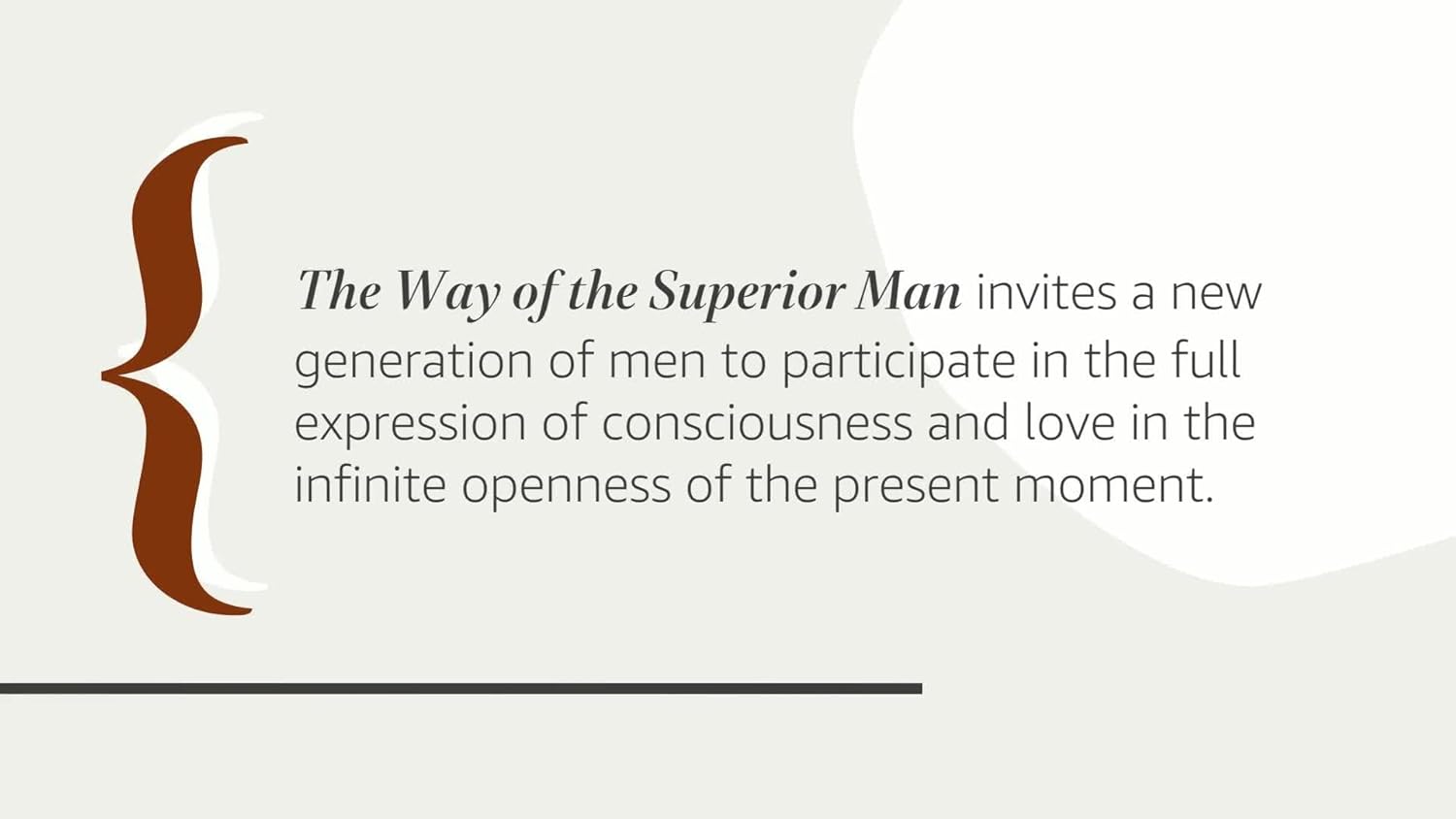 The Way Of The Superior Man David Deida