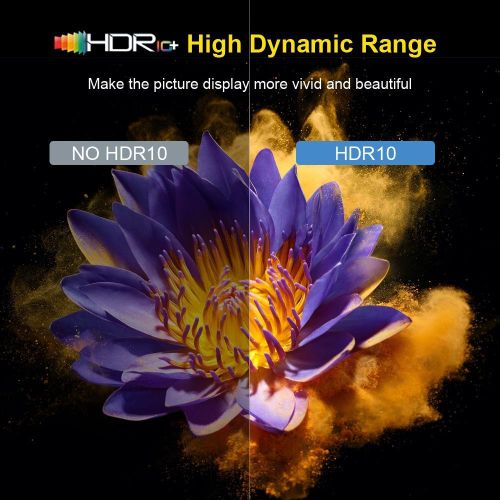 HK1 RBOX-H8S 4K Ultra HD Android 12.0 Smart TV Box, Memory:2GB+16GB