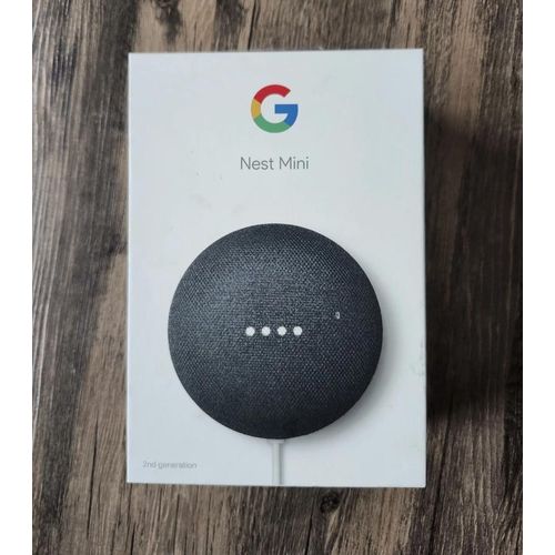 Nest Mini 2nd Generation with the Voice Assistant