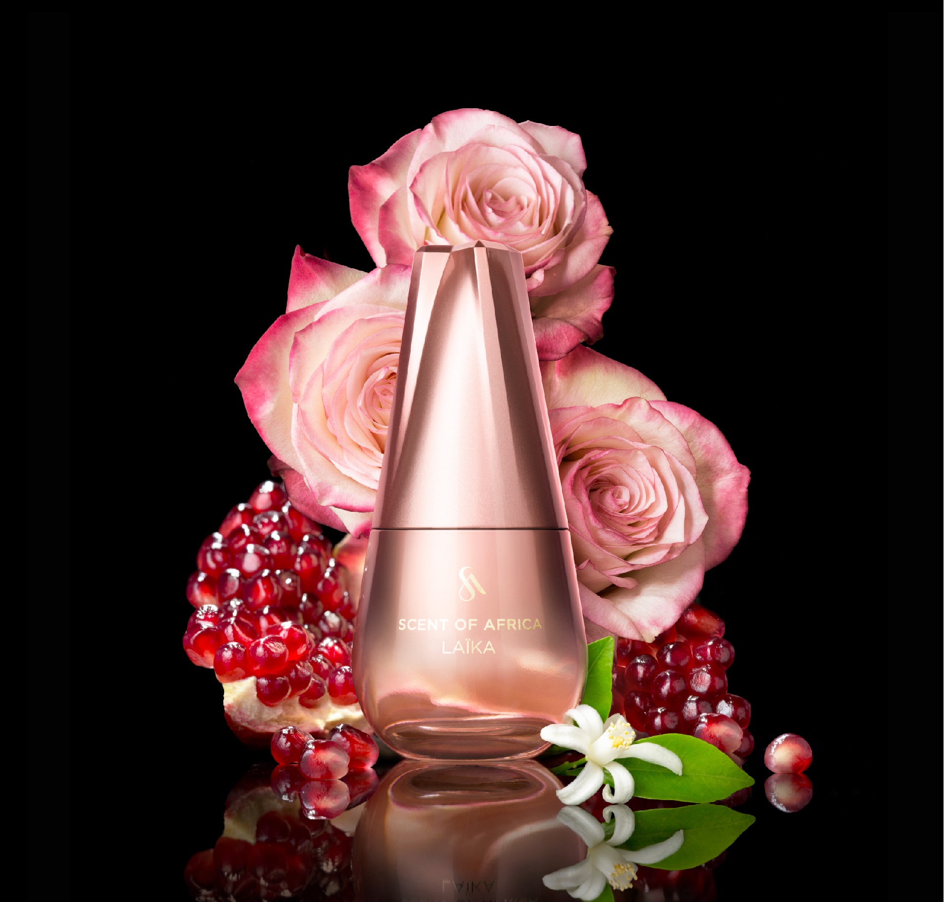 Scent of Africa Laïka