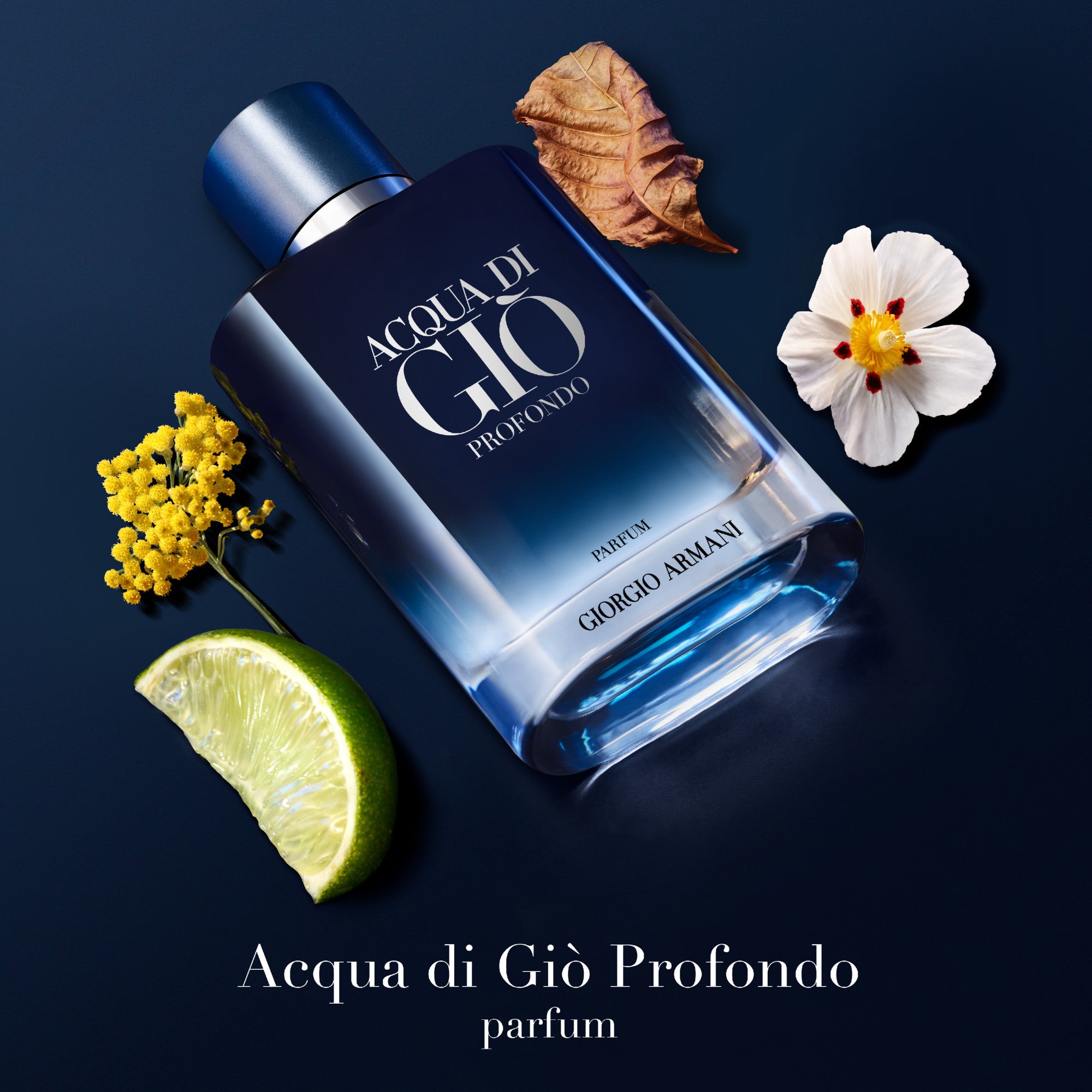Giorgio Armani Acqua Di Gio Profondo Parfum