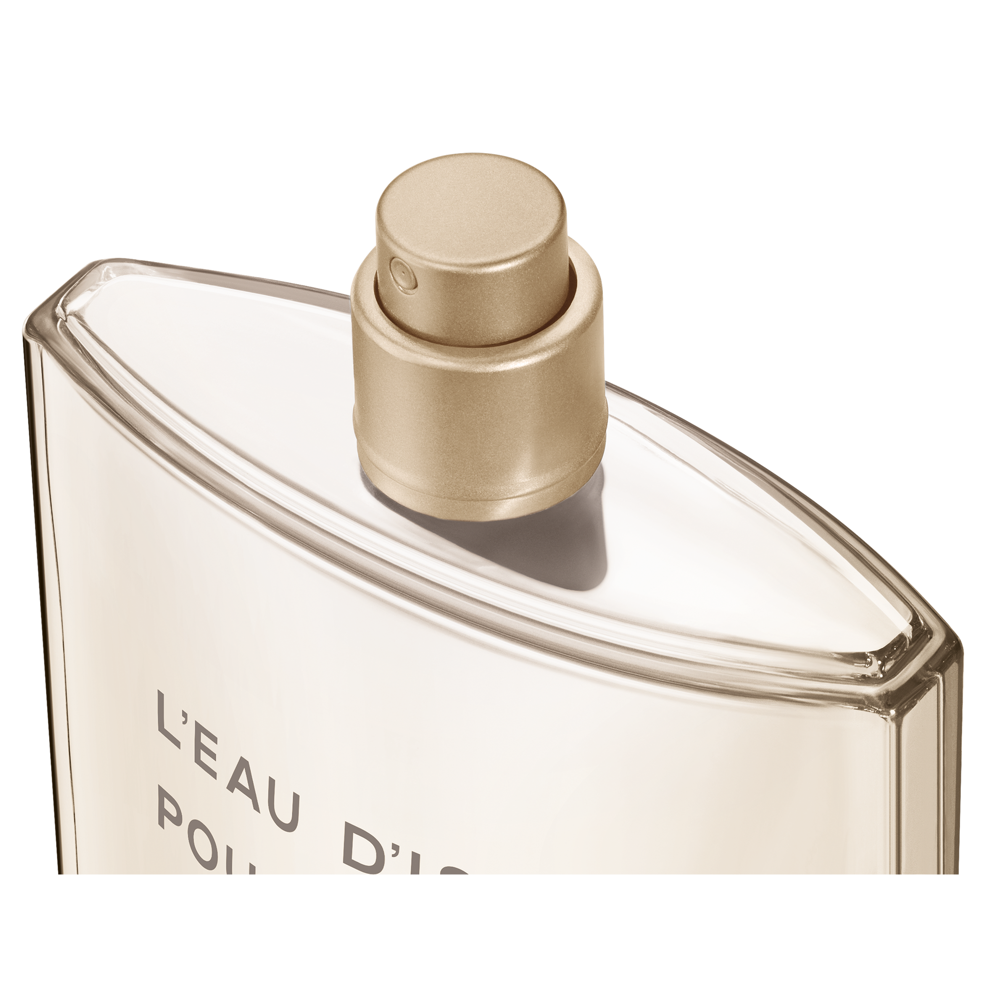 Issey Miyake L'Eau d'Issey Pour Homme Vetiver Eau De Toilette