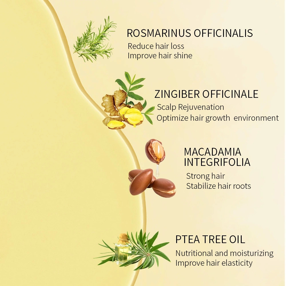 Hair Nutrition Hair Oil Hair Line Anti Hair Loss Hair Conditioner Hair Essence