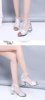 SHWX summer new fish mouth hollowing boots Korean version of the thick with the wild with the net boots mesh sandals women