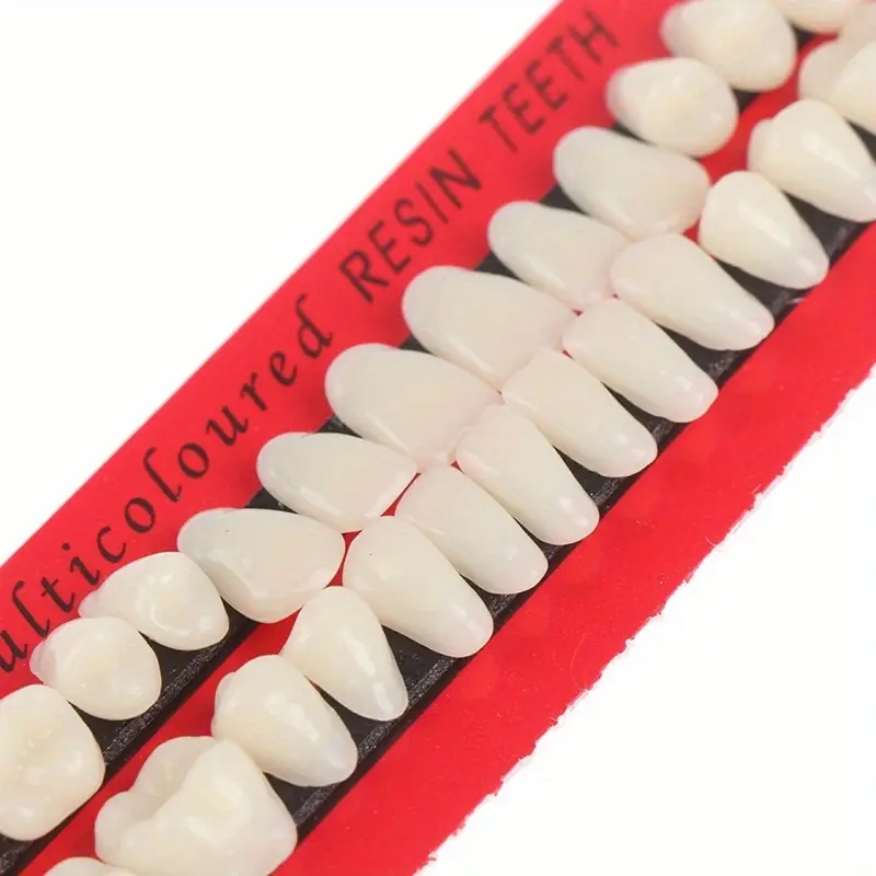 1Sets Resin Denture False Teeth, Dental Teaching Model, Resin Denture, Dental Supply Accessory Teeth Teaching Model