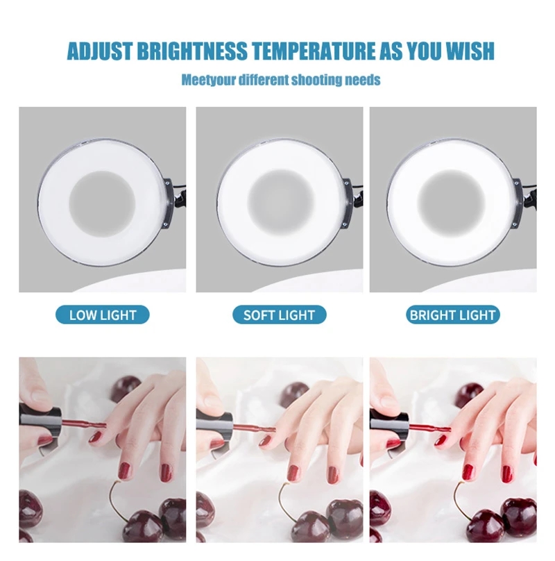 3 in 1 Ozone Nano Ionic Facial Steamer Upgrade Hot Cold Steam Vaporizer Humidifier with 8X LED Magnifying Lamp Beauty Salon Spa
