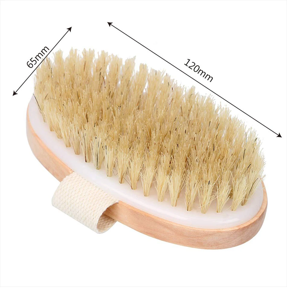 Round Head Bristle Bath Brush Portable Shower Brush Bathroom Scrubbing Cleanse Exfoliate Massaging