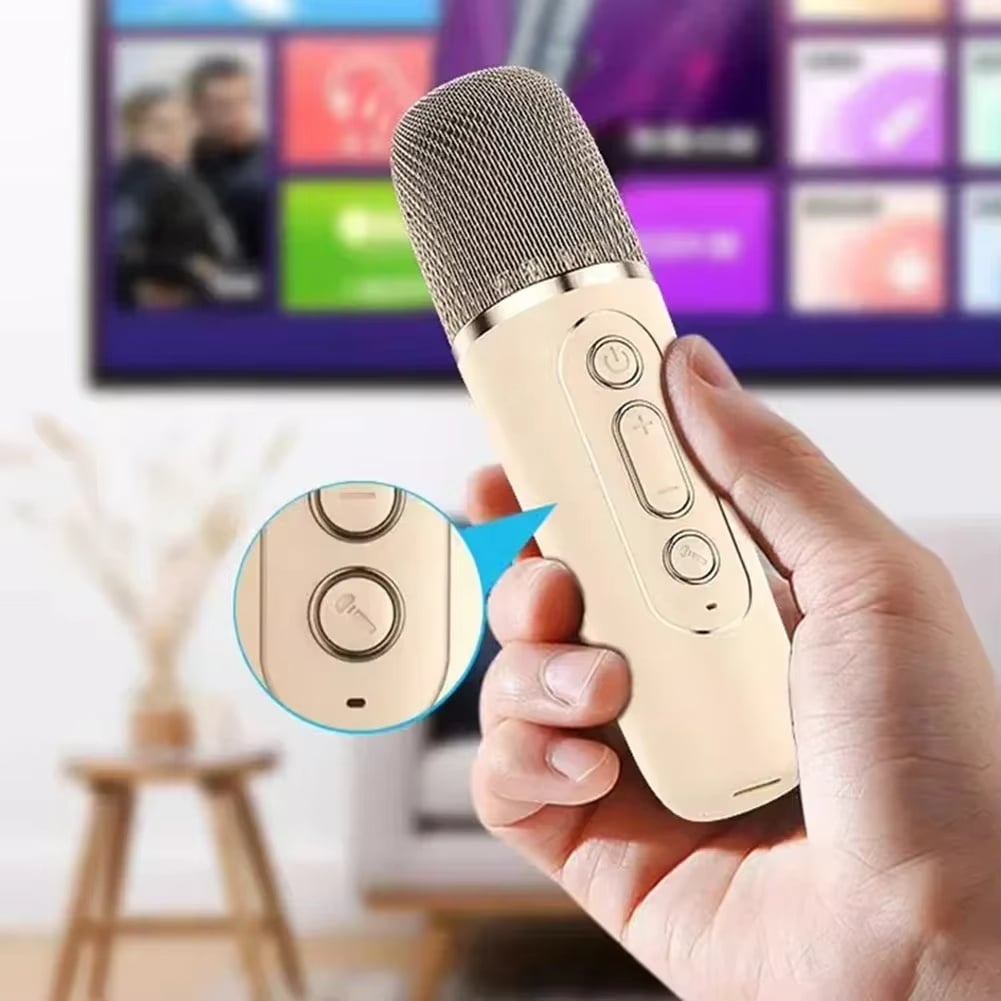 K12 Karaoke Machine Portable Bluetooth 5.3 PA Speaker System with 2 Wireless Microphones Home Family Singing Children's Gifts ﻿
