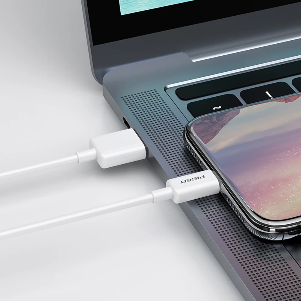 More expensive，Pisen Lightning Fast Charging Cable (900mm) 2.4A Quick Charge for iPhone/iPad
