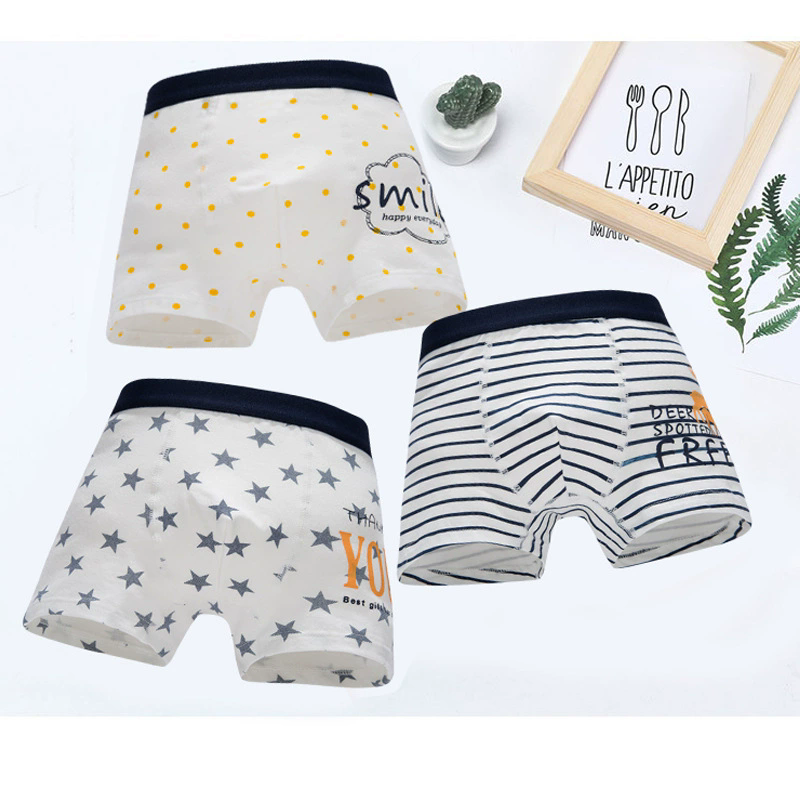 4 Pack Boys Boxer Briefs Soft Cotton Underwear Comfortable Kids Underpants for Big Boys