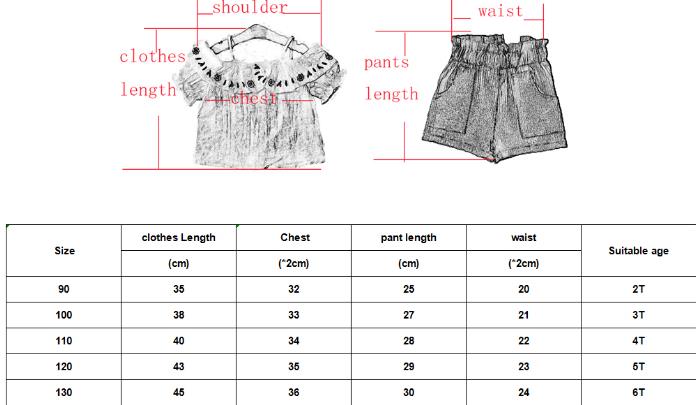 Summer Girls Clothes Sets Children's Clothing Fashion Girl Shirt Top+ Shorts Suits Kids Clothing 2pcs &