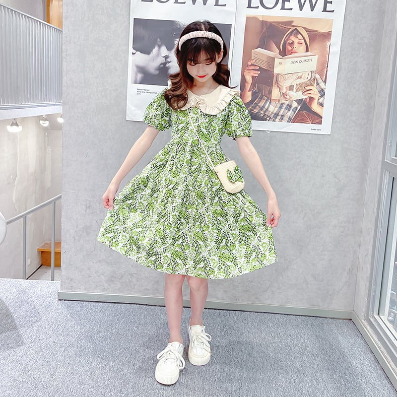Girls' dress, summer dress, new internet red floral dress, summer dress, children's cotton princess dress