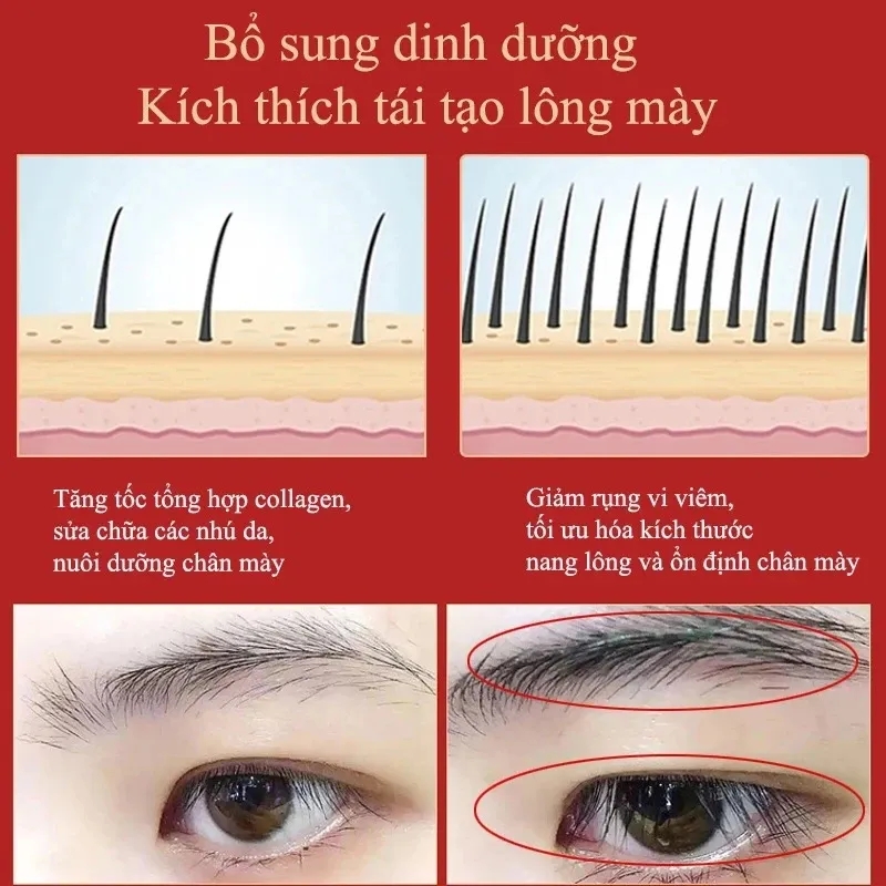 Rapid-Acting Eyebrow & Eyelash Growth Serum – Clinically Enhanced, Dual-Action Formula for Thicker, Fuller, Healthier Brows & La