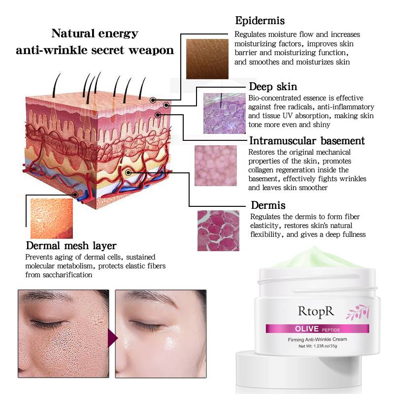 Olive Peptide Firming Anti-Wrinkle Cream Reduce Face Fine Lines Tighten Pores Whitening Oil Control Acne hydrating skin Product