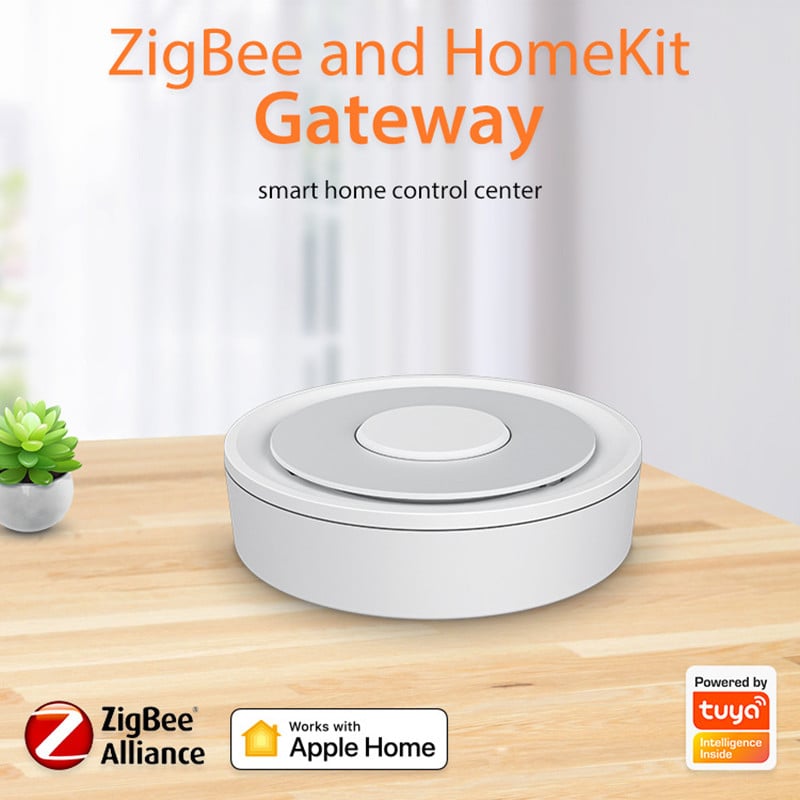 Doodle Apple HomeKit and ZigBee Intelligent Dual Mode Wired Gateway Home Control System Host