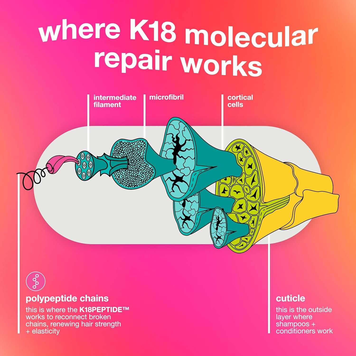 K18 Leave-In Molecular Repair Hair Mask, Patented, Lasting Repair For Dry, Frizzy, Damaged Hair, Reverse Damage In 4 Minutes From Bleach, Color, Chemi