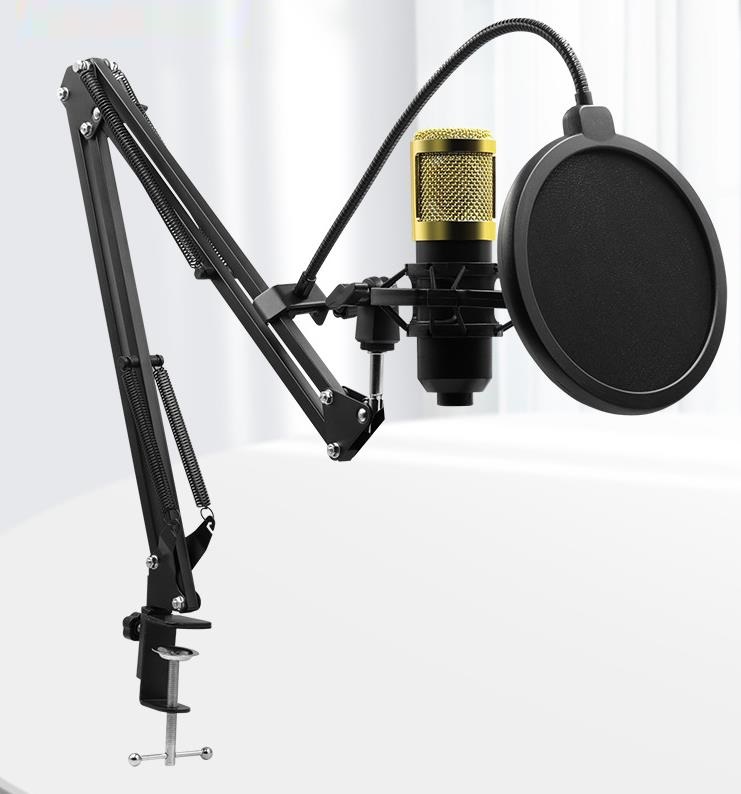 karaoke microphone BM800 studio condenser mikrofon mic bm-800 For KTV Radio Braodcasting Singing Recording computer BM 800