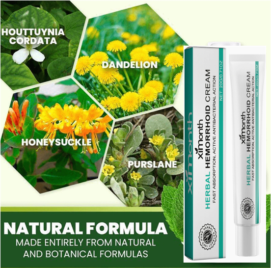 Hemorrhoids Ointment Plant Herbal Hemorrhoid Spray Medicine Treatment Internal External Anal Fissure Counterpain Cream