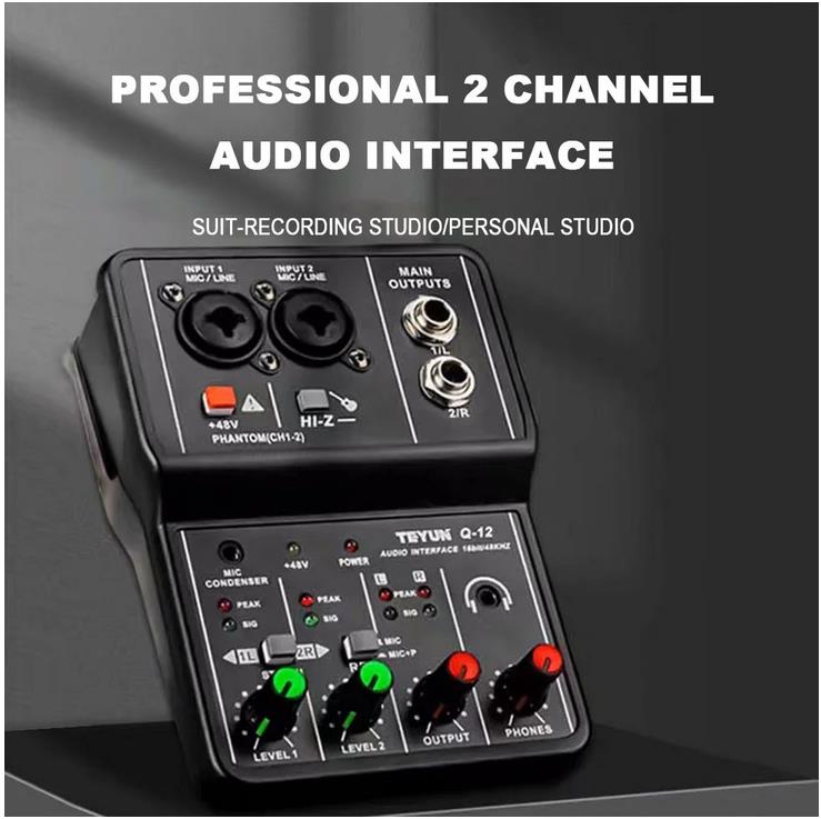 TEYUN Q12 Universal Professional Audio Interface Sound Card Computer Electric Guitar Studio Singing Q12 Audio Equipment