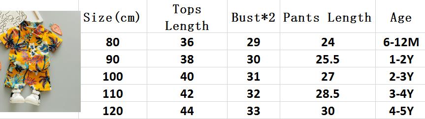 Baby Boys Floral Printed Clothes Set Summer Short Sleeve Shirt Top+Pants 2Pcs Gentelman 1 2 3 4 5 Year Kids Clothing Outfit