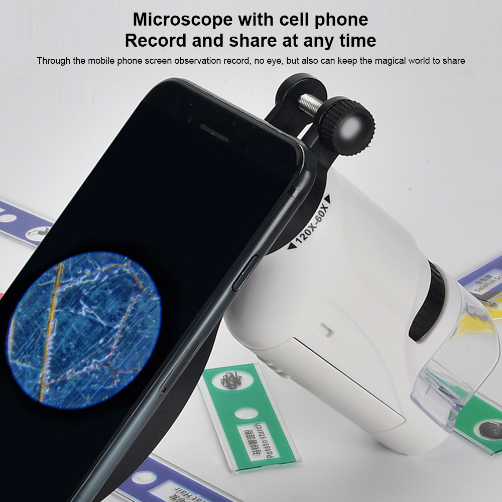 Kids Science Microscope Toy Kit 60-120x Educational Mini Pocket Handheld Microscope with LED Light Outdoor Children Stem Toy