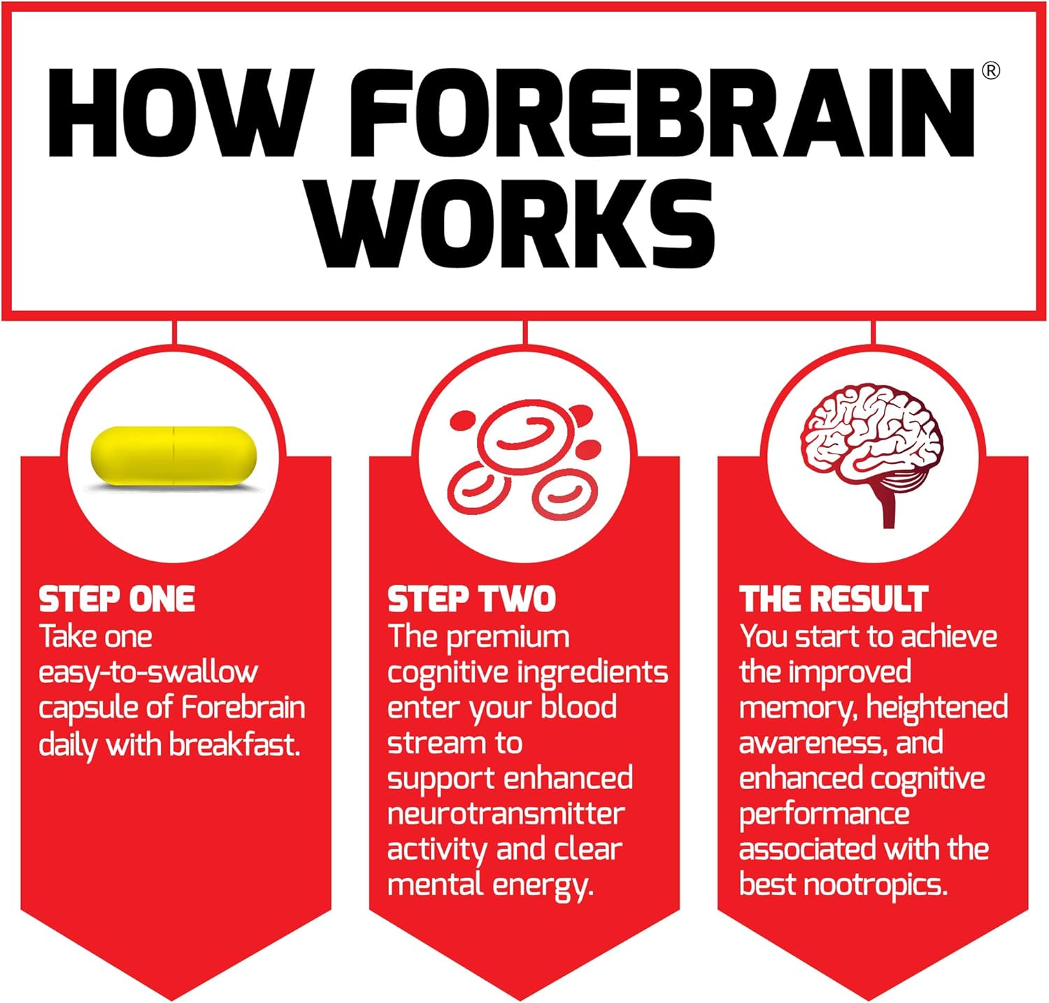 Force Factor Forebrain Nootropic Brain Supplement to Improve Memory, Boost Focus, Increase Mental Energy, and Support Brain Health with Caffeine, Baco