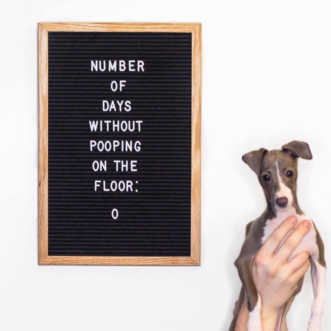 Handmade felt letter board felt letterboard wood frame with 460 letters and large bracket size