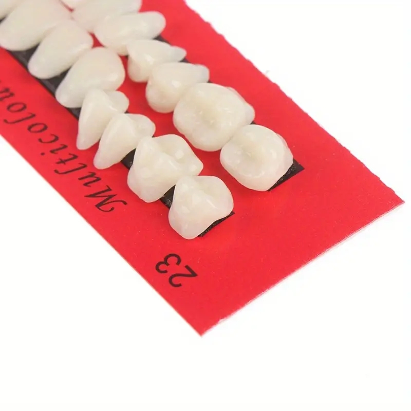 1Sets Resin Denture False Teeth, Dental Teaching Model, Resin Denture, Dental Supply Accessory Teeth Teaching Model