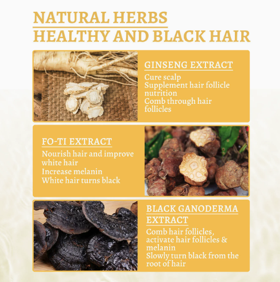 Black Ganoderma Lucidum Hair Liquid Clean Scalp Dirt Prevent Hair Loss Strengthen Hair Roots Nourish Hair Follicles Care Essence