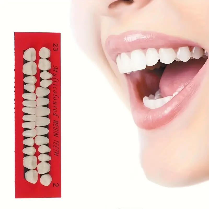 1Sets Resin Denture False Teeth, Dental Teaching Model, Resin Denture, Dental Supply Accessory Teeth Teaching Model