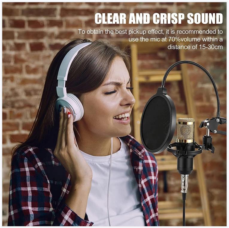 BM800 condenser microphone microphone + V8 sound card anchor computer recording support large diaphragm live set