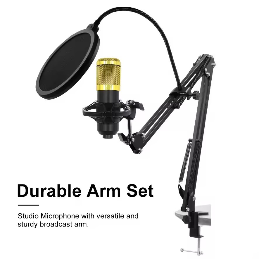 AA08-F998 Sound Card And BM800 Microphone Kit Mic Sound Mixer Sound Card Audio Mixing Console Amplifier For Singing PC Phone