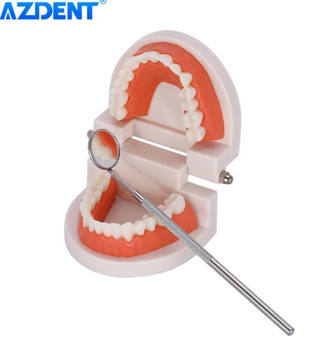 5 piece set Dental Mouth Mirror Stainless Steel Tweezers Elbow Probe Dentist Instrument Teeth Cleaning Dentistry Tools
