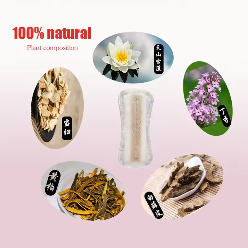 30pc Female Gynecologica snow Lotus care pad Medical Sanitary Tampons Vaginal infections silver ion Gynecological care pad