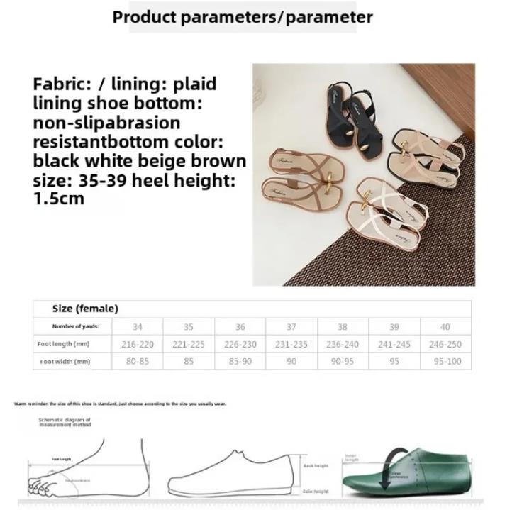 2025 New Women's Toe Loop Slides Summer Outdoor Wear Trendy Flat French Elegant One Strap Flip Flop Sandals