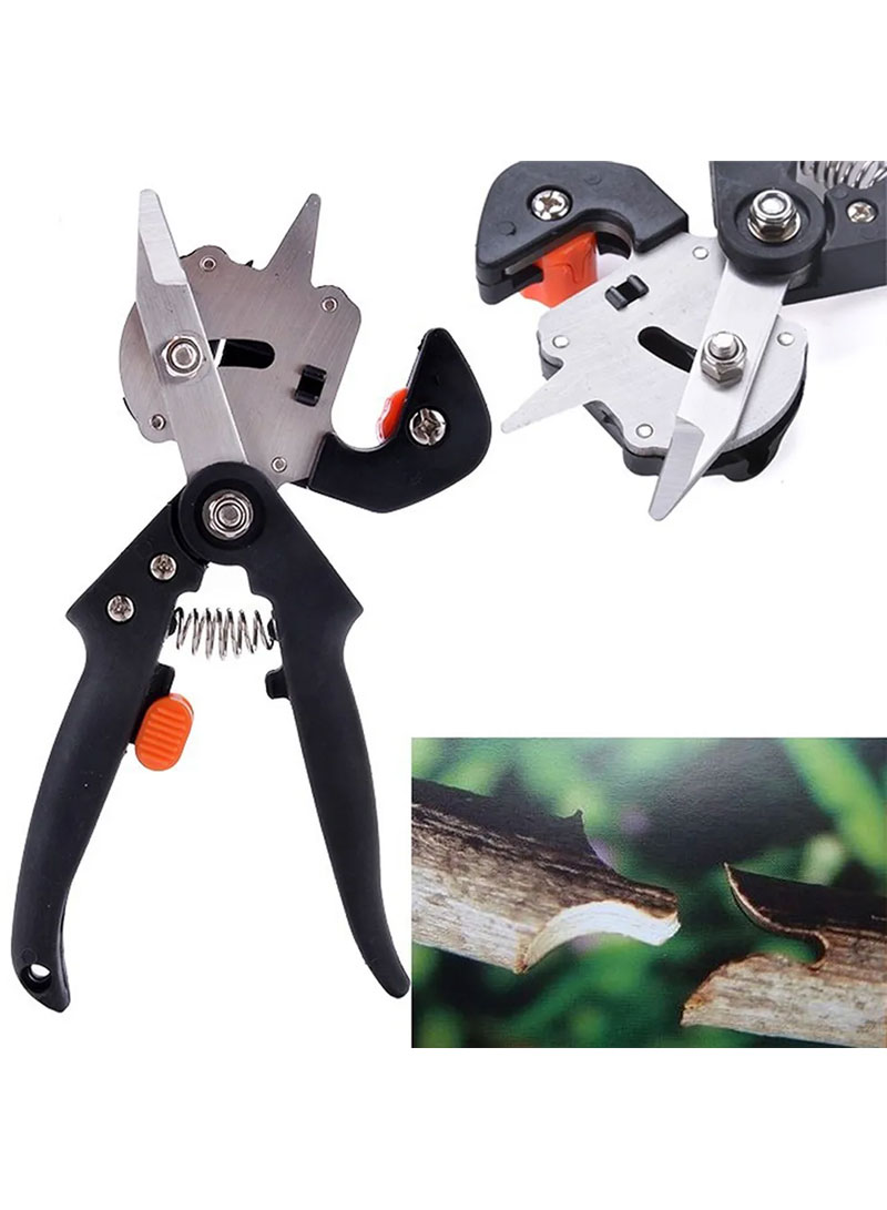 Garden Cutting Tool for Fruit Trees Scissor Set (W2 x H8.5)inches - A Kit