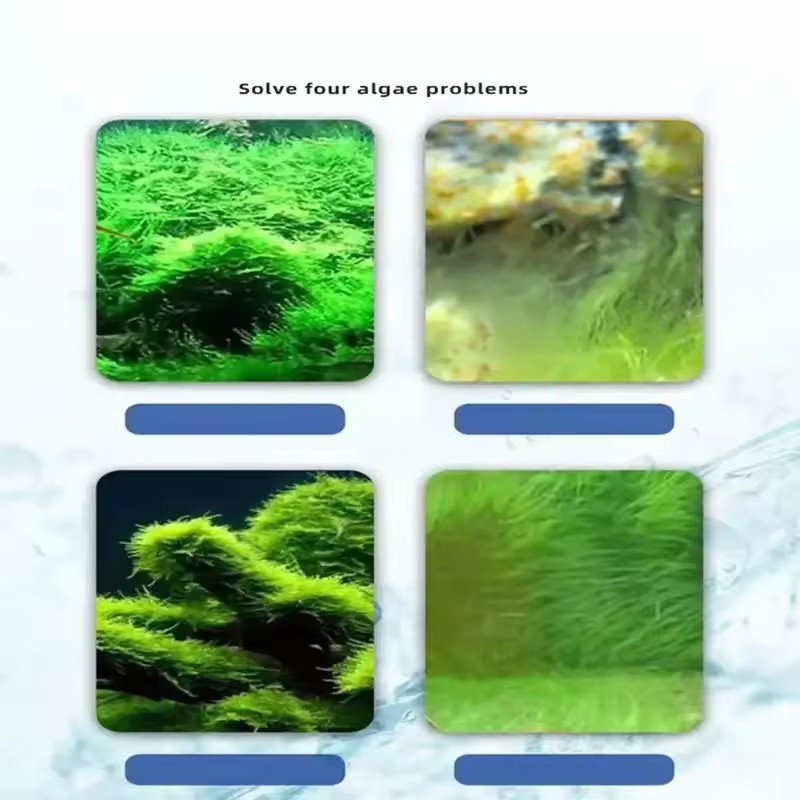 150ml Aquarium Algae Remover, Fish Tank Water Cleaner, Algae Remover, Moss Remover, Fish Tank Algae Remover