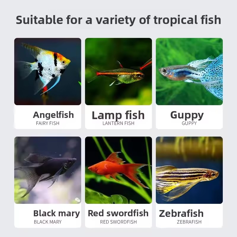 SUNSUN Premium Tropical Fish Flake Food for Angelfish, Guppies, Tetras & All Community Fish, Color Enhancing&Complete Nutrition