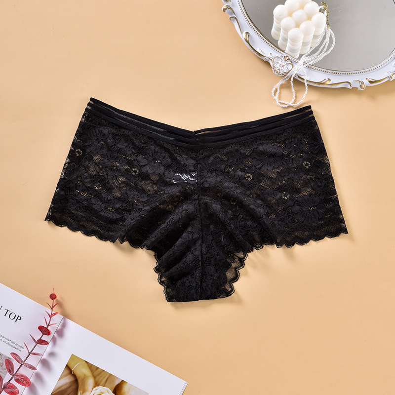 Women's Plus Size Fat High Waist Lace Lingerie Briefs Sexy Floral See Through Breathable Comfortable Stretch Curvy Everyday Wear